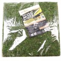 Фон моховий Repti-Zoo Natural Moss Back & Bottom 30x30см 2шт. (NCM3030)