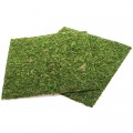 Фон моховий Repti-Zoo Natural Moss Back & Bottom 30x30см 2шт. (NCM3030)
