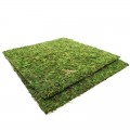 Фон моховий Repti-Zoo Natural Moss Back & Bottom 30x30см 2шт. (NCM3030)