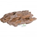 Декорація укриття Terrario Dragon Stone S 22x12x7см (22127)