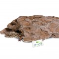 Декорація укриття Terrario Dragon Stone S 22x12x7см (22127)