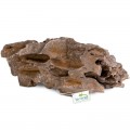 Декорація укриття Terrario Dragon Stone S 22x12x7см (22127)