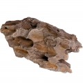 Декорація укриття Terrario Dragon Stone S 22x12x7см (22127)