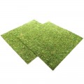 Фон моховый Repti-Zoo Natural Moss Back & Bottom 45x45см 2шт. (NCM4545)