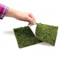 Фон моховый Repti-Zoo Natural Moss Back & Bottom 45x45см 2шт. (NCM4545)