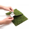 Фон моховый Repti-Zoo Natural Moss Back & Bottom 45x45см 2шт. (NCM4545)
