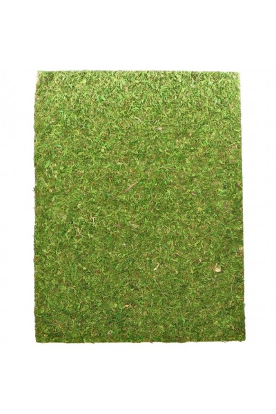 Фон моховый Repti-Zoo Natural Moss Back & Bottom 60x45см 2шт. (NCM6045)