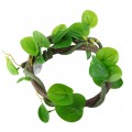 Искусственная лиана Hobby Jungle Vine 1 100 см (37702) - гибкое декоративное растение для террариума, акватерариума и палюдариума. Искусственная лиана Hobby Jungle Vine 1 100 см (37702) - гибкое декоративное растение для террариума, акватерариума и палюдариума.