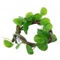 Искусственная лиана Hobby Jungle Vine 1 100 см (37702) - гибкое декоративное растение для террариума, акватерариума и палюдариума. Искусственная лиана Hobby Jungle Vine 1 100 см (37702) - гибкое декоративное растение для террариума, акватерариума и палюдариума.