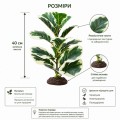 Искусственное растение Hobby Ficus Elastica 1 40 см (37705) для террариума, акватерариума и палюдариума Искусственное растение Hobby Ficus Elastica 1 40 см (37705) для террариума, акватерариума и палюдариума