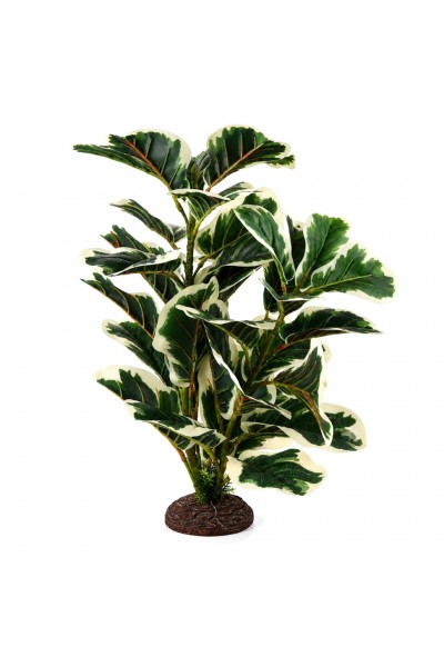 Искусственное растение Hobby Ficus Elastica 2 55 см (37706) для террариума, акватерариума и палюдариума