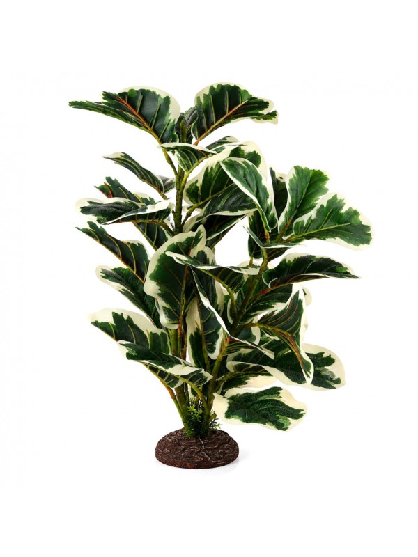 Искусственное растение Hobby Ficus Elastica 2 55 см (37706) для террариума, акватерариума и палюдариума