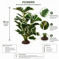 Искусственное растение Hobby Ficus Elastica 2 55 см (37706) для террариума, акватерариума и палюдариума Искусственное растение Hobby Ficus Elastica 2 55 см (37706) для террариума, акватерариума и палюдариума