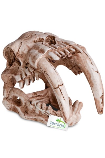 Декорация череп тигра Terrario Sabertooth Skull 13x8,5x11см (15911)