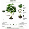 Искусственное растение Hobby Schefflera 55 см (37710) для террариума, акватерариума и палюдариума Искусственное растение Hobby Schefflera 55 см (37710) для террариума, акватерариума и палюдариума