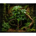 Искусственное растение Hobby Schefflera 55 см (37710) для террариума, акватерариума и палюдариума Искусственное растение Hobby Schefflera 55 см (37710) для террариума, акватерариума и палюдариума