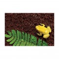 Підкладка з кокосового волокна Repti-Zoo Coconut fiber Substrate 4л (SB650S)