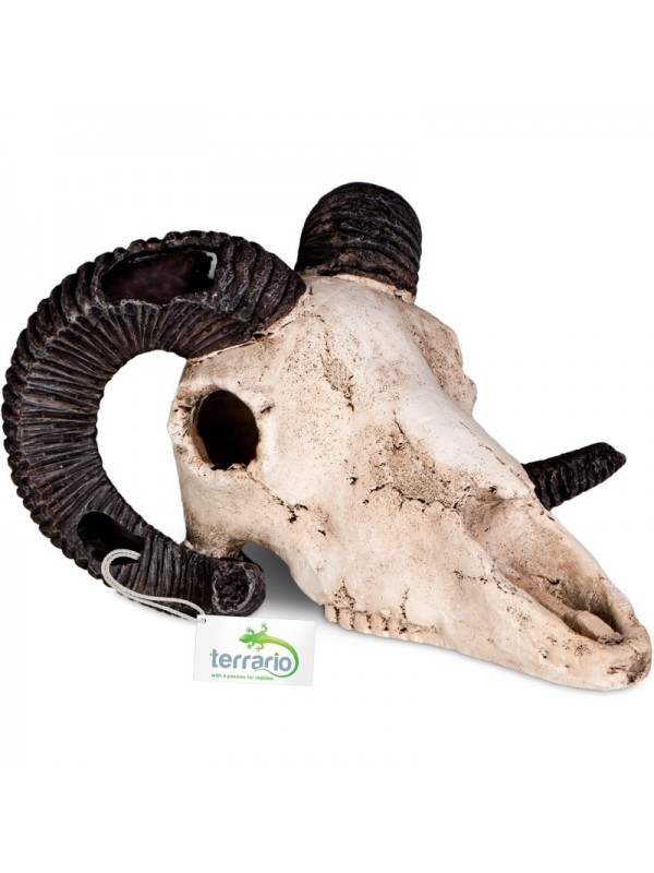 Декорация черепа барана Terrario Ram Skull 19x16x11см (191712)