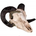Декорация черепа барана Terrario Ram Skull 19x16x11см (191712)