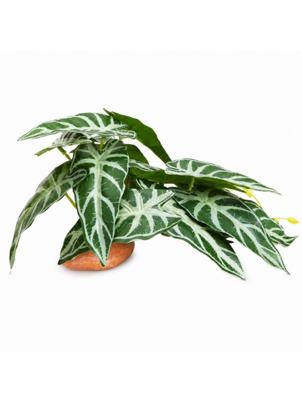Искусственное растение Hobby Calathea 1 24×14 см (37714) для террариума, акватерариума и палюдариума