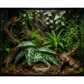 Искусственное растение Hobby Calathea 1 24×14 см (37714) для террариума, акватерариума и палюдариума Искусственное растение Hobby Calathea 1 24×14 см (37714) для террариума, акватерариума и палюдариума