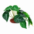 Искусственное растение Hobby Alocasia 1 24 × 14 см (37717) для террариума, акватерариума и палюдариума