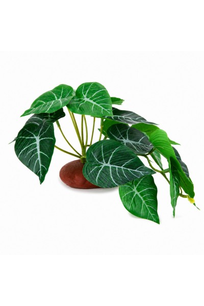 Искусственное растение Hobby Alocasia 1 24 × 14 см (37717) для террариума, акватерариума и палюдариума