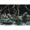 Аквариумный задний фон Aqua Nova Синее море/Камни с корягами 60x30см (TREE ROOTS/WATER S)