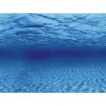 Аквариумный задний фон Aqua Nova Синее море/Камни с корягами 60x30см (TREE ROOTS/WATER S)