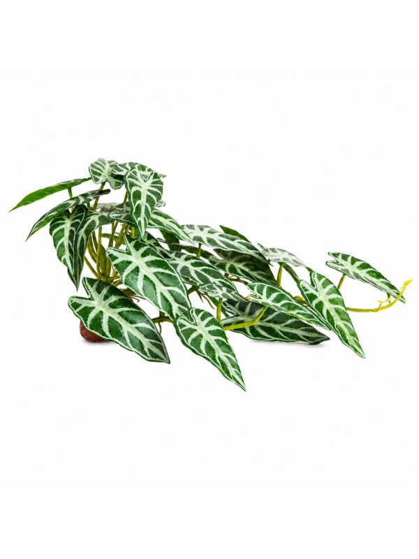 Искусственное растение Hobby Calathea 2 40×20 см (37715) для террариума, акватерариума и палюдариума