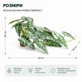 Искусственное растение Hobby Calathea 2 40×20 см (37715) для террариума, акватерариума и палюдариума Искусственное растение Hobby Calathea 2 40×20 см (37715) для террариума, акватерариума и палюдариума