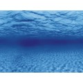Аквариумный задний фон Aqua Nova Синее море/Камни с корягами 150x60см (TREE ROOTS/WATER XL)