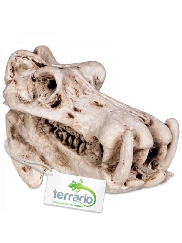Декорация череп бегемота Terrario Hippo Skull 5x3x3см (533)