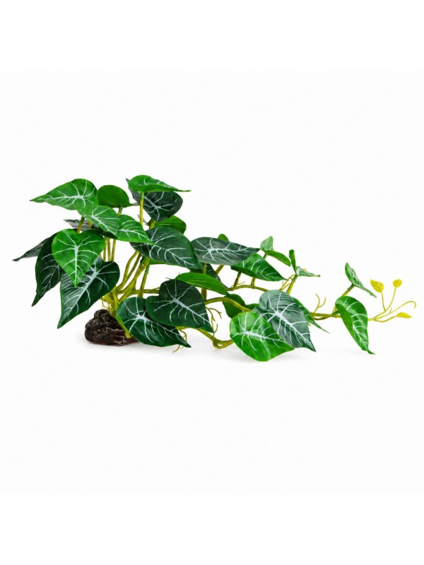 Штучна рослина Hobby Alocasia 2 40 × 20 см (37718) для тераріуму, акватераріуму та палюдаріуму