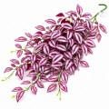 Искусственное растение Hobby Climber Purpurea 70 см (37726) для террариума, акватерариума и палюдариума Искусственное растение Hobby Climber Purpurea 70 см (37726) для террариума, акватерариума и палюдариума