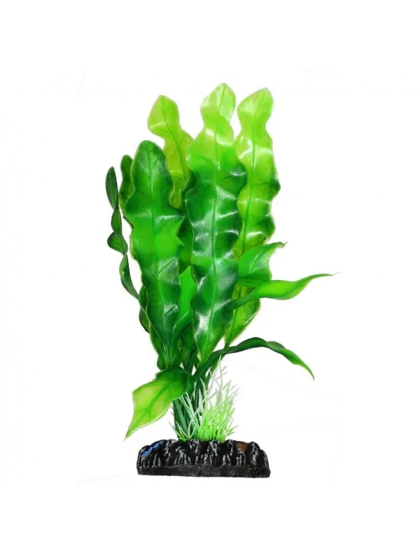 Штучна рослина Hobby Echinodrus 20см (41504)