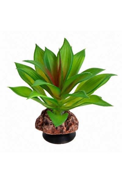Искусственное растение Hobby Terra Succulent 2 10 см (37731) для террариума, акватерариума и палюдариума