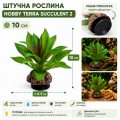 Искусственное растение Hobby Terra Succulent 2 10 см (37731) для террариума, акватерариума и палюдариума Искусственное растение Hobby Terra Succulent 2 10 см (37731) для террариума, акватерариума и палюдариума