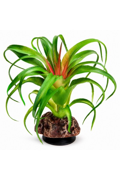 Искусственное растение Hobby Terra Succulent 3 14 см (37732) для террариума, акватерариума и палюдариума