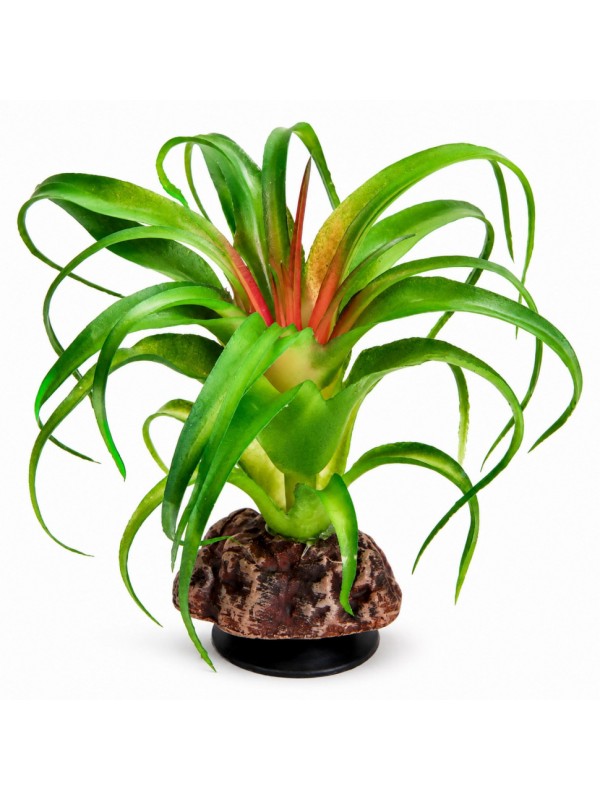 Искусственное растение Hobby Terra Succulent 3 14 см (37732) для террариума, акватерариума и палюдариума