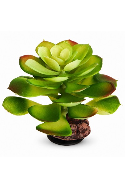 Искусственное растение Hobby Terra Succulent 4 17 см (37733) для террариума, акватерариума и палюдариума