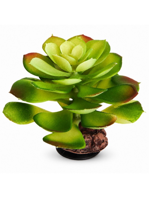 Искусственное растение Hobby Terra Succulent 4 17 см (37733) для террариума, акватерариума и палюдариума
