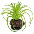 Искусственное растение Hobby Terra Succulent 5 8 см (37734) для террариума, акватерариума и палюдариума