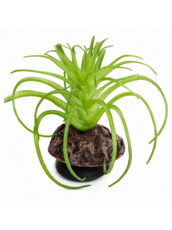 Искусственное растение Hobby Terra Succulent 5 8 см (37734) для террариума, акватерариума и палюдариума