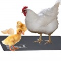 Нагрівальний мат водонепроникний Terrario Repti Pad PVC 20W 20x35см для тераріумів, котів, собак, птахів та рослин