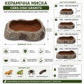 Миска для террариума Hobby Cera Dish Granite 1 10x6,5x2,5см (37800) поилка и кормушка под натуральный камень Миска для террариума Hobby Cera Dish Granite 1 10x6,5x2,5см (37800) поилка и кормушка под натуральный камень