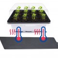 Нагревательный мат водонепроницаемый Terrario Repti Pad PVC 40W 40x60см (repti-pad-pvc-40w)