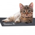 Нагревательный мат водонепроницаемый Terrario Repti Pad PVC 40W 40x60см (repti-pad-pvc-40w)