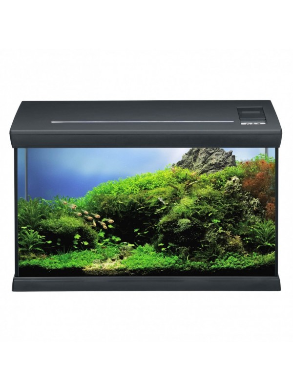 Акваріумний комплект чорний Eheim aquaclass 66 (0340710)