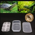 Інкубатор пластиковий Terrario EggIncubator на 12 яєць для рептилій і дрібних птахів